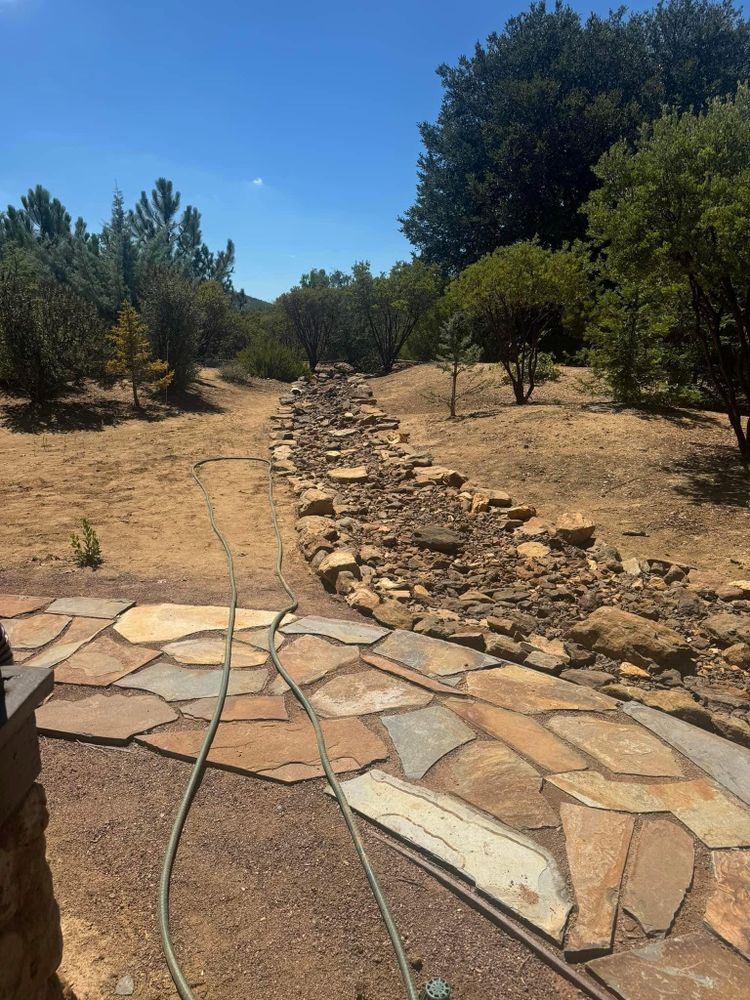 Property Clean Up for The Tree Fairy in Temecula, CA