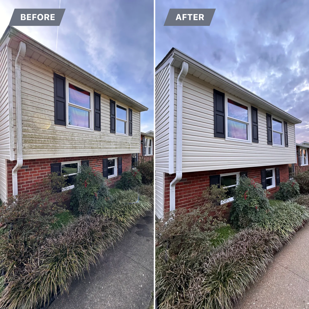 All Photos for LeafTide Solutions in Richmond, VA