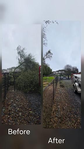 All Photos for George Staddan's Professional Tree Care in Placerville, CA