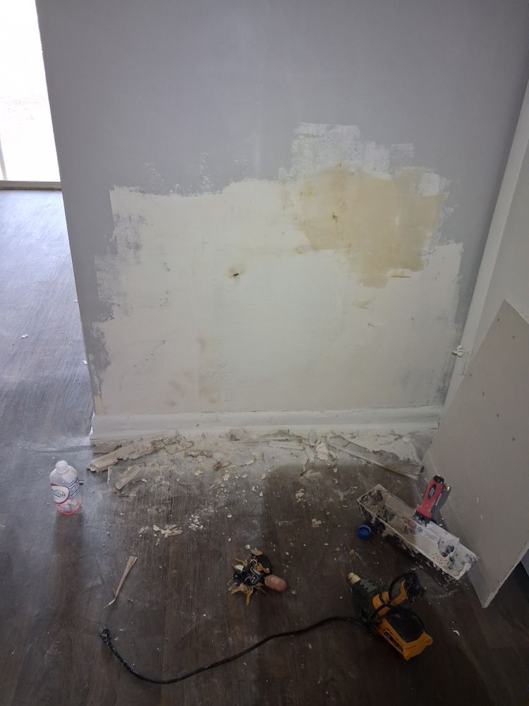 All Photos for Raw Paintings, Sheetrock Repairs and Cleaning in Columbia, SC