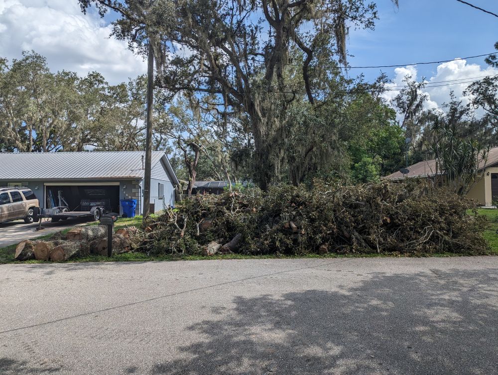 All Photos for Regal Tree Service and Stump Grinding in Wauchula, FL