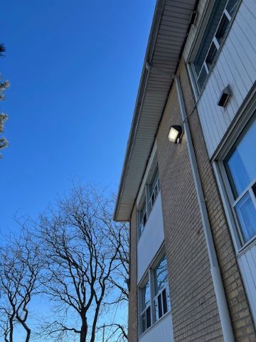 All Photos for Triumph Inc - Repair & Maintenance in Scarborough, ON