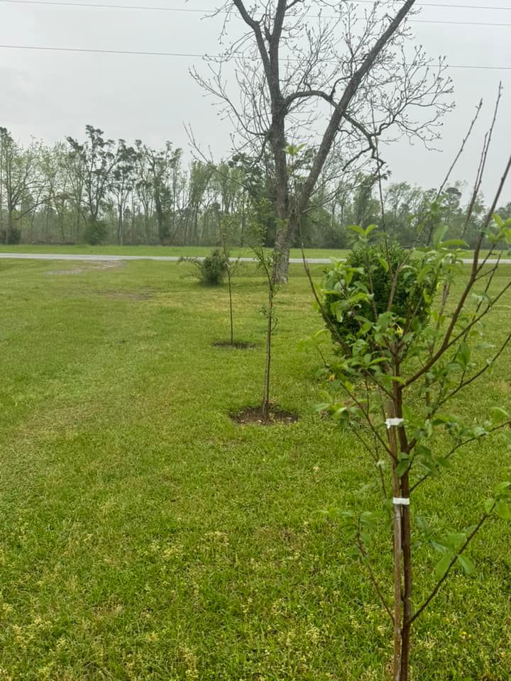 All Photos for Sierra Verde Landscaping in Vidalia, GA