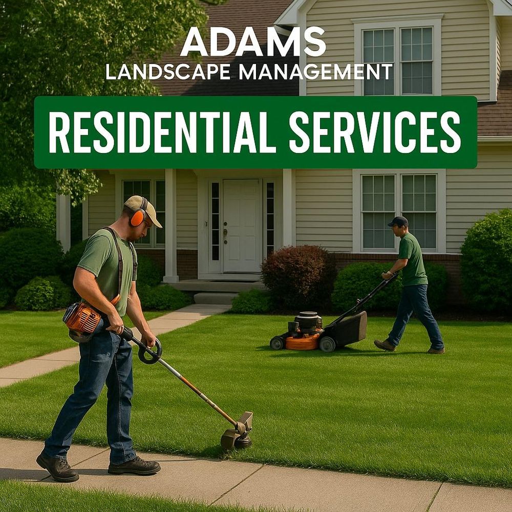 All Photos for Adams Landscape Management Group LLC. in Loganville, GA