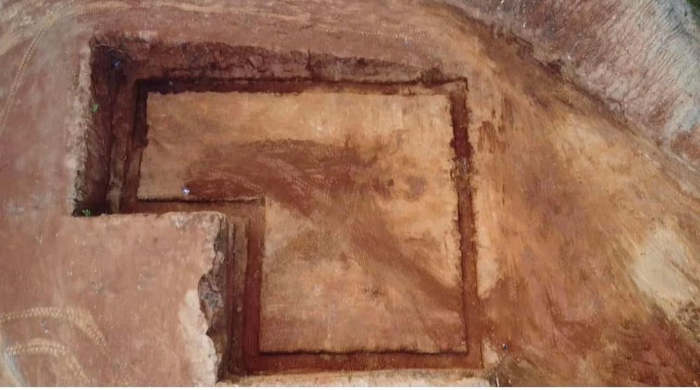 All Photos for A&E Excavation in Knoxville, TN