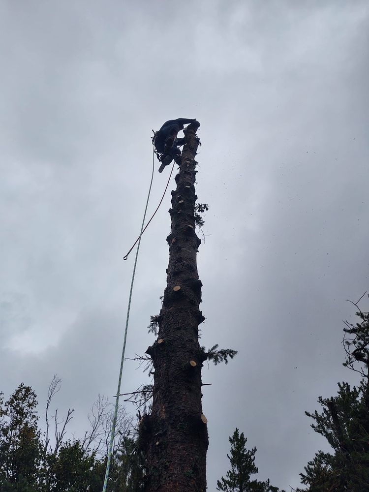 All Photos for Wenzels Tree Service LLC  in Bemidji, MN