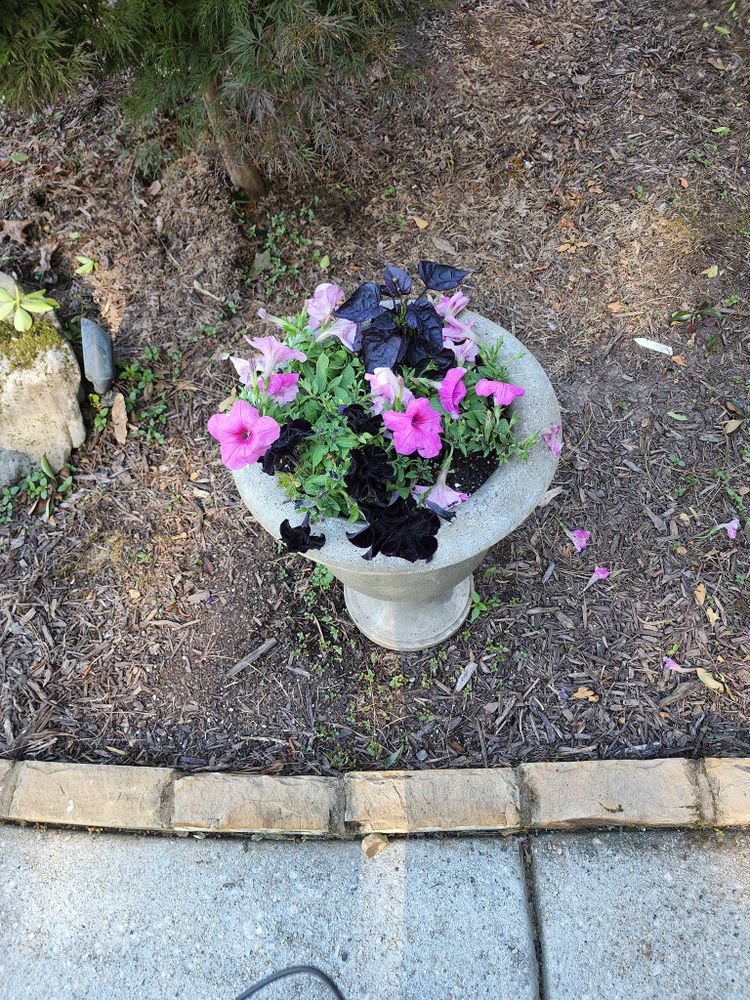 All Photos for CJC Landscaping, LLC in Athens, Georgia