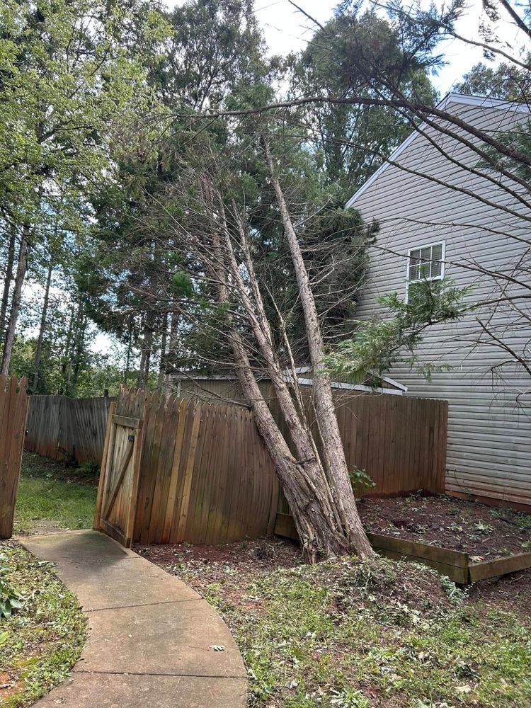 Lawn Care for Alvarez Landscape & Hardscape Service in Rock Hill, SC