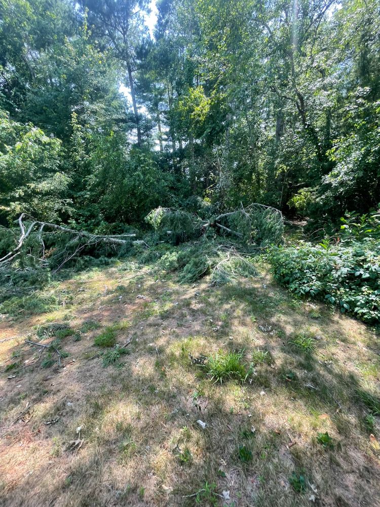 All Photos for Lucas Property Maintenance LLC in New Bedford, MA