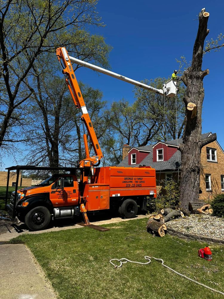 Tree Removal for Greenlee & Family Landscaping Services in Peoria, IL