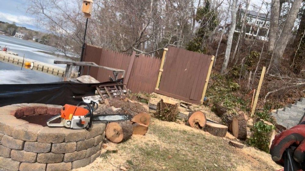 All Photos for Dwights Tree Service in Middleborough, MA