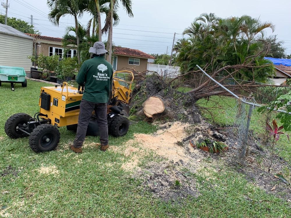 Disaster for Sam's Tree Service in Miami Beach,  FL