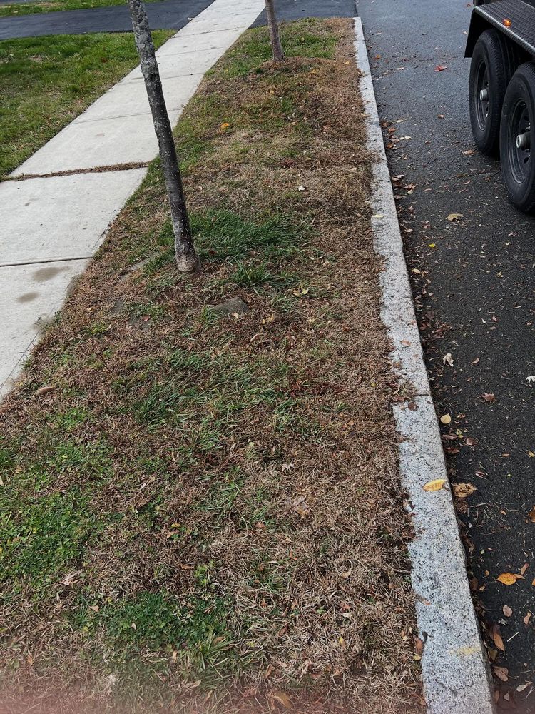 All Photos for Bumblebee Lawn Care LLC in Albany, New York