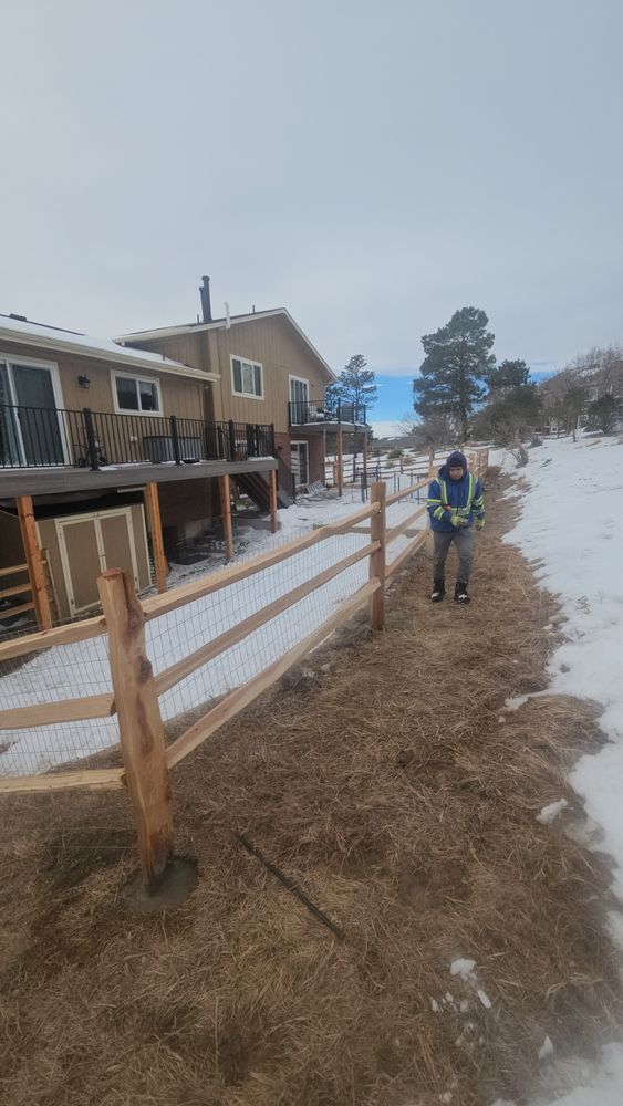 All Photos for NGL Landscape Company in Denver, CO