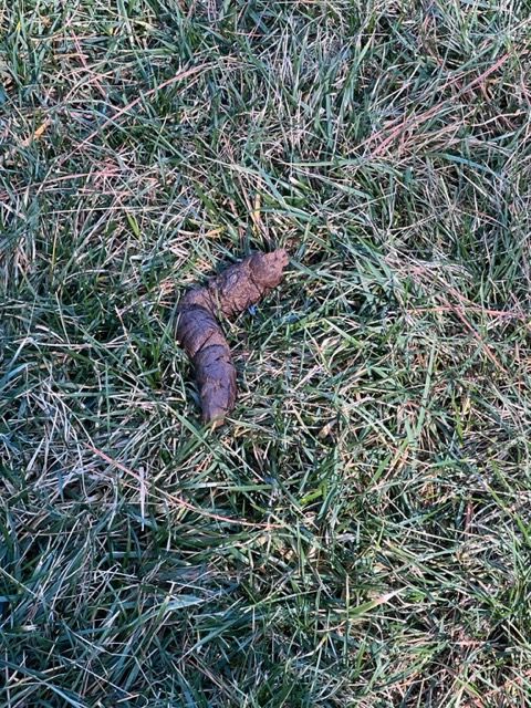 All Photos for River City Scoopers in Midlothian, VA