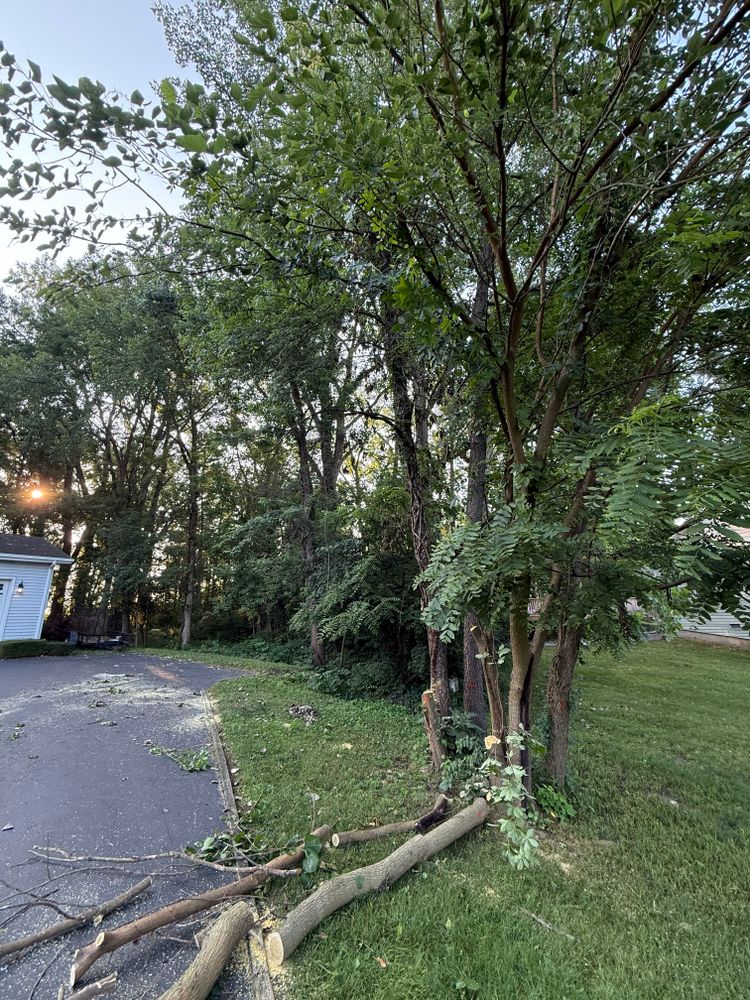 All Photos for Hunnicutt’s Tree Service L.L.C. in Monticello, IN