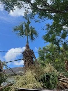 All Photos for Perfect MOs Landscaping in Hudson, FL
