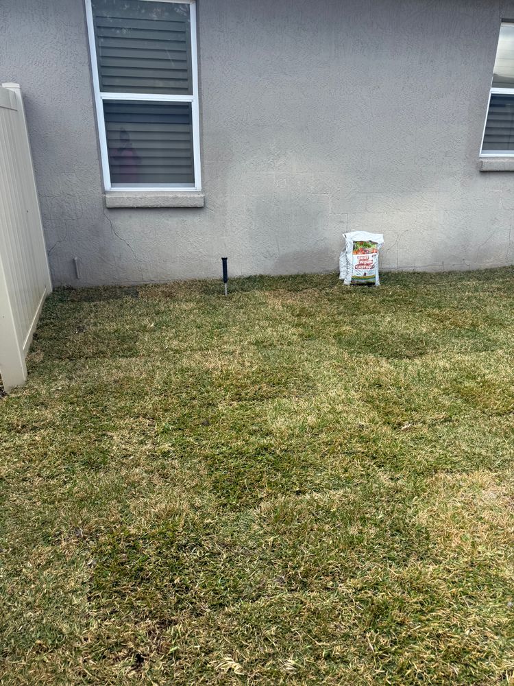 All Photos for Amerigrown Tree And Lawn in Apopka, FL