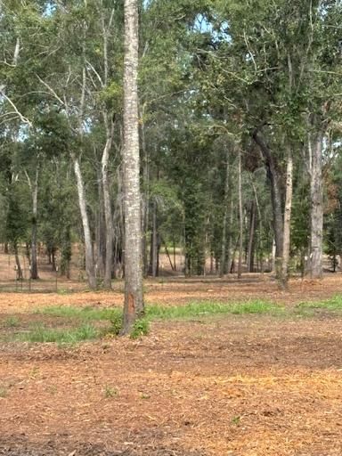 All Photos for JM Services in Woodville, TX