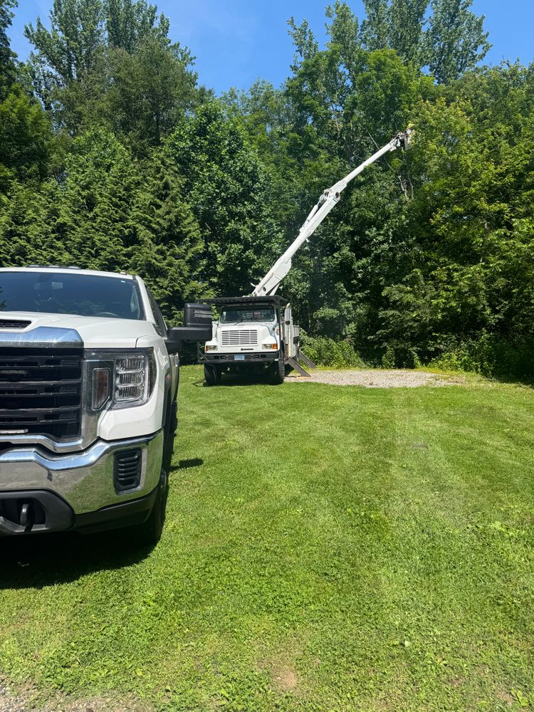 All Photos for Hennessey Tree & Landscape LLC in Oxford,  CT 