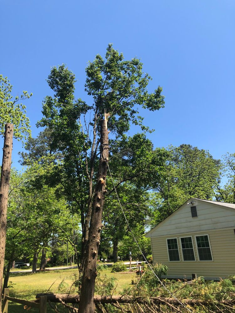 Tree Removal for Tucker's Tree Service and Stump Grinding in Lugoff, SC