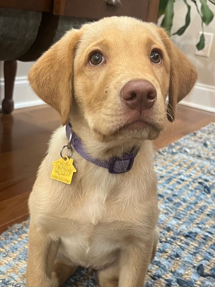 All Photos for The Gravel Guy in Blairsville, GA