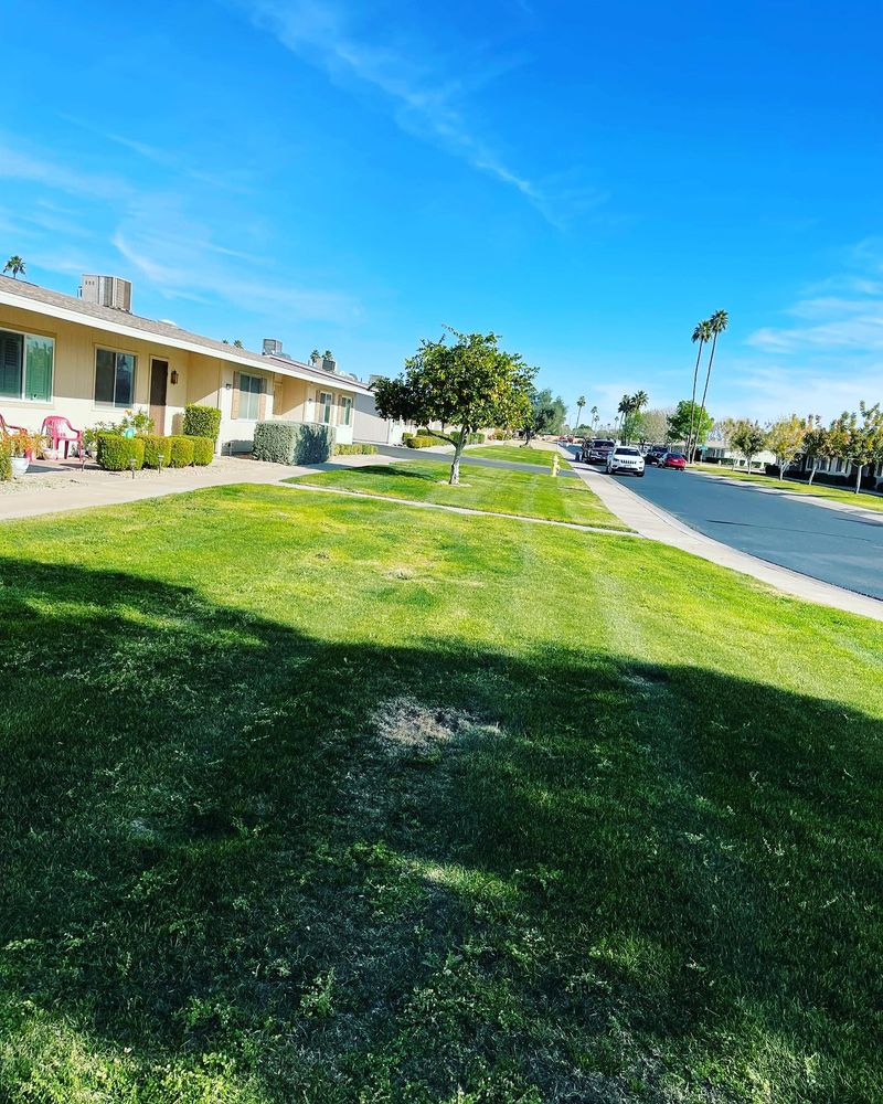 Lawn maintenance for American Dream Landscape Company in Surprise, AZ