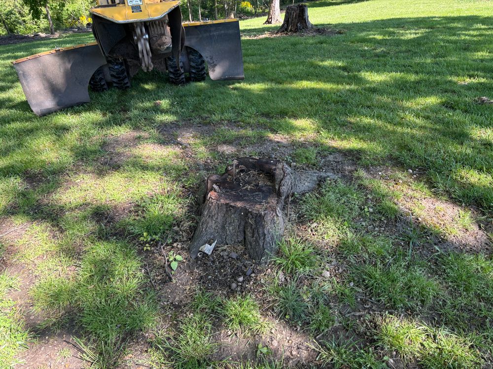 All Photos for Conrad's Stump Removal in Columbus, IN