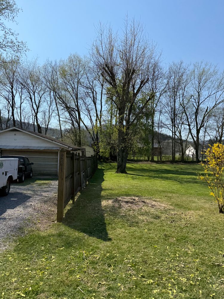 All Photos for Arnold’s Outdoor Solutions in Woodbury, TN