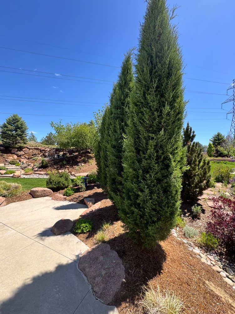 All Photos for Rock Masters Inc. in Evans, CO