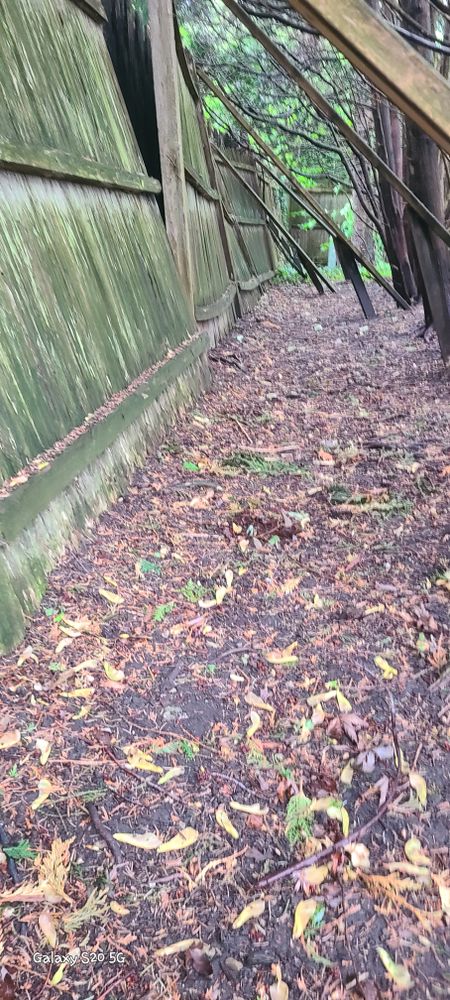 All Photos for Fence Medic in Arlington Heights, IL