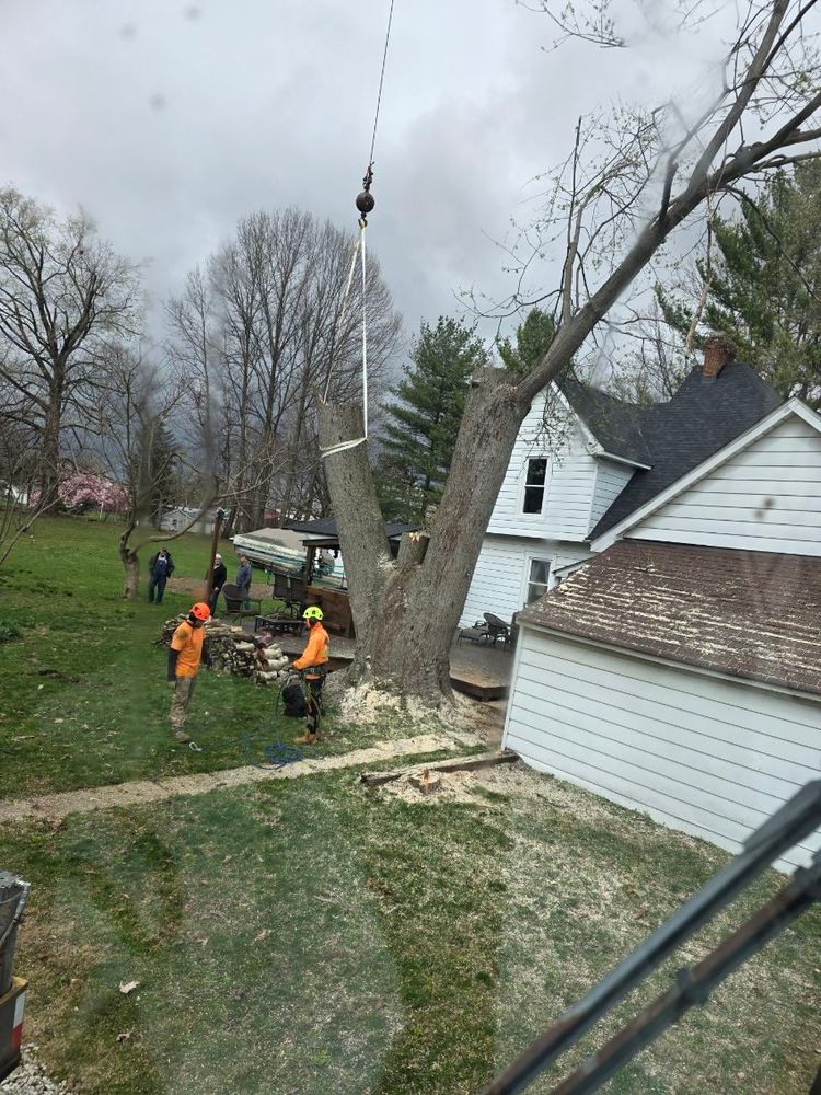 All Photos for Advanced Tree Solutions in Rockville, IN
