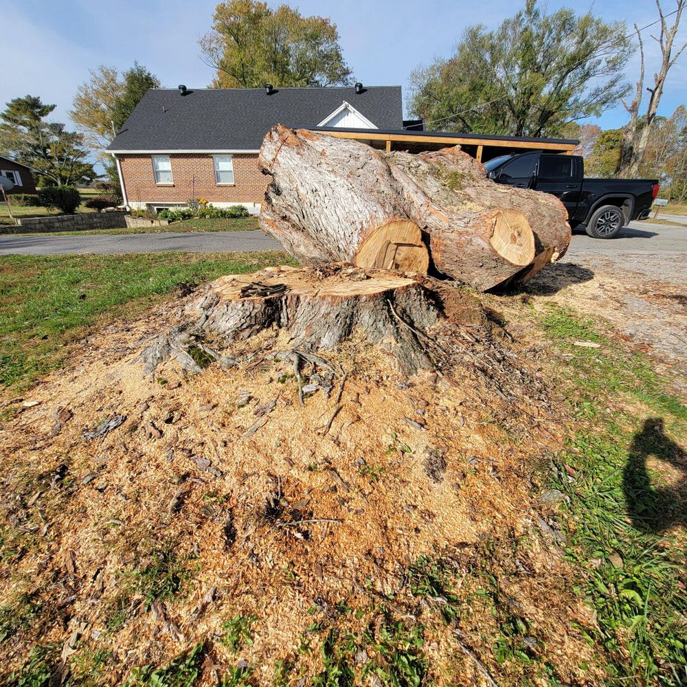 All Photos for Z's Land Management & Forestry Mulching in Smithville, TN