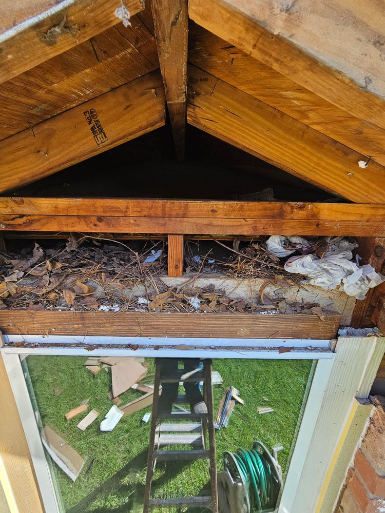 All Photos for Hockley Frame and Siding LLC in Hockley, TX