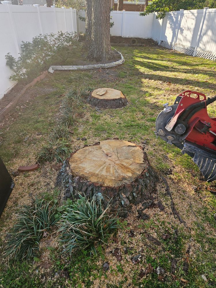 All Photos for Anchor & Grind Stump in Chesapeake, VA