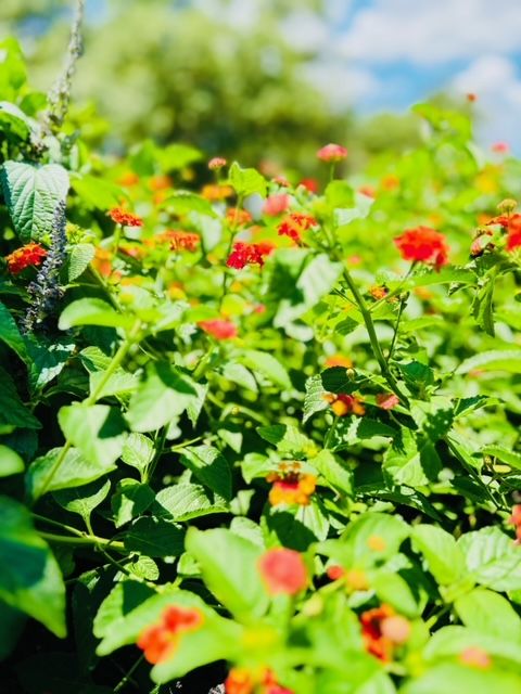 All Photos for Rustic Roots Landscaping in Austin, TX