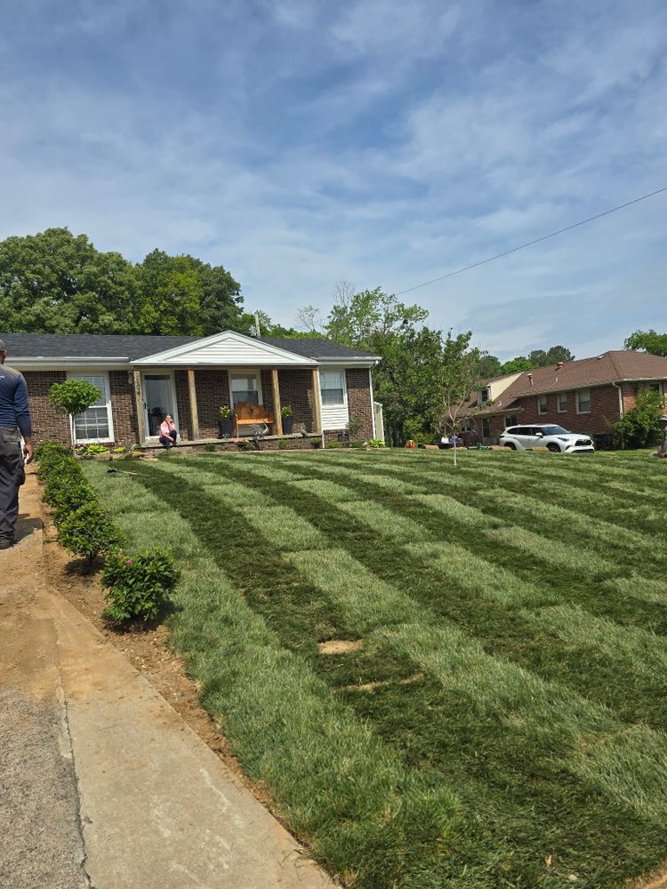 All Photos for Optimum Tree Service And Landscaping in Bowling Green, KY