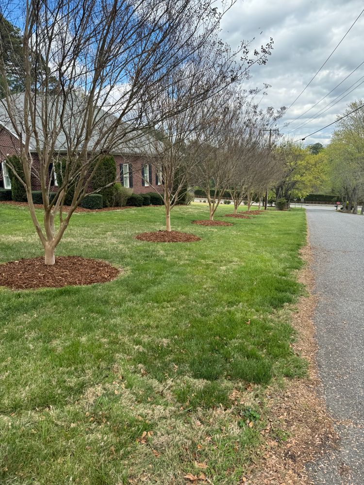 All Photos for CW Lawn & Landscape in Hickory, NC