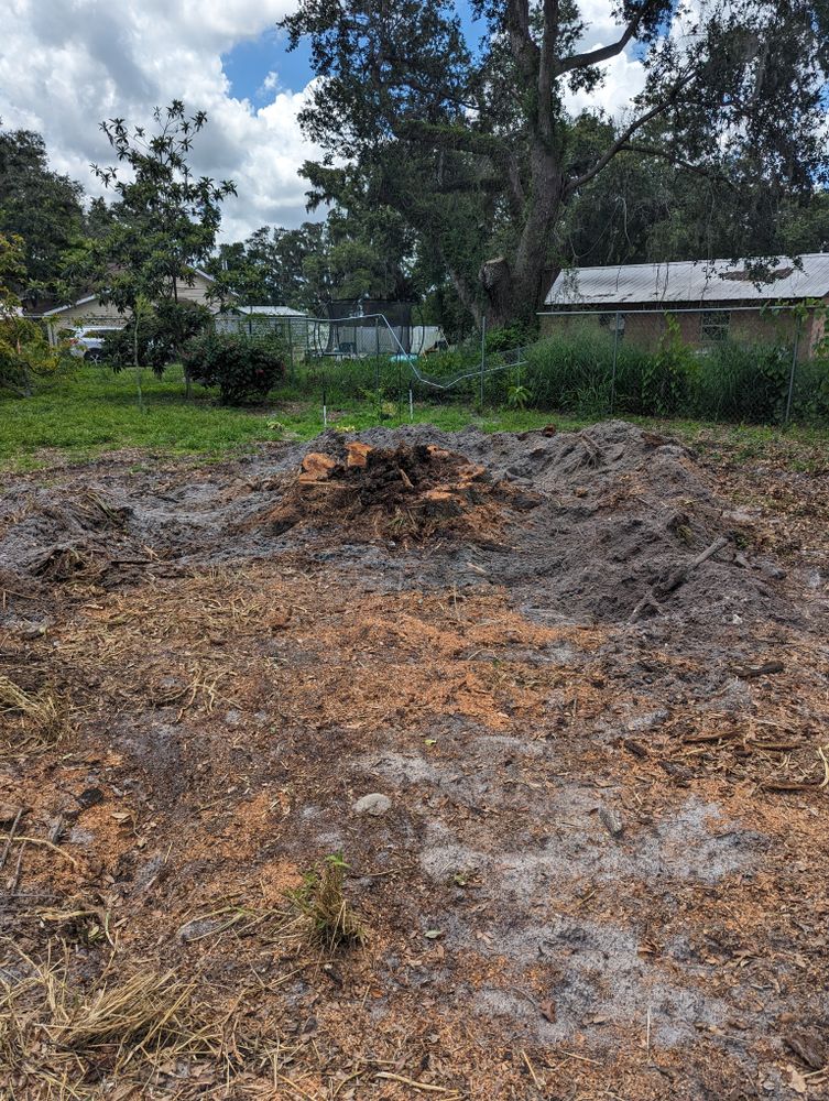 All Photos for Regal Tree Service and Stump Grinding in Wauchula, FL