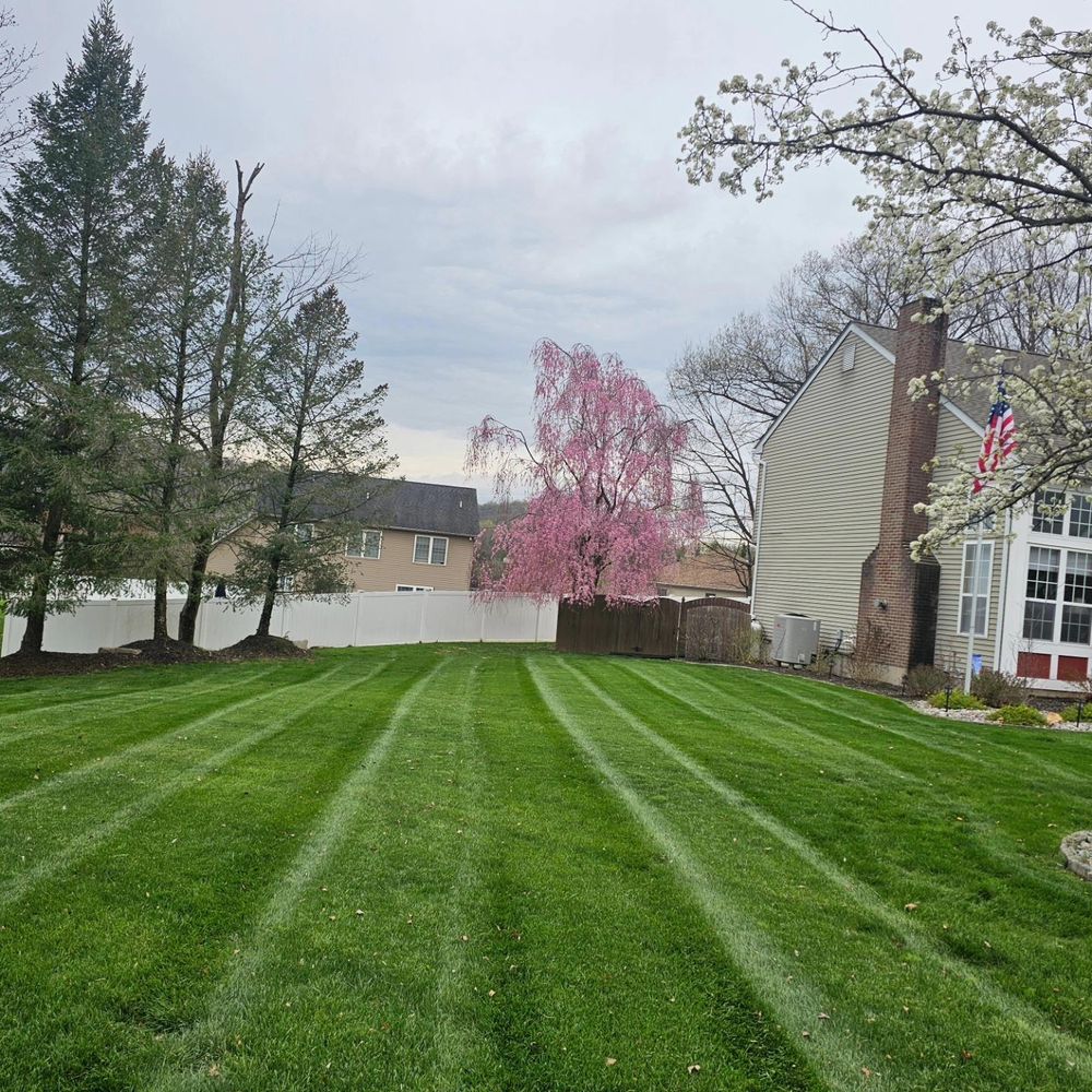 All Photos for Trippin A-Lawn in Bethlehem, PA