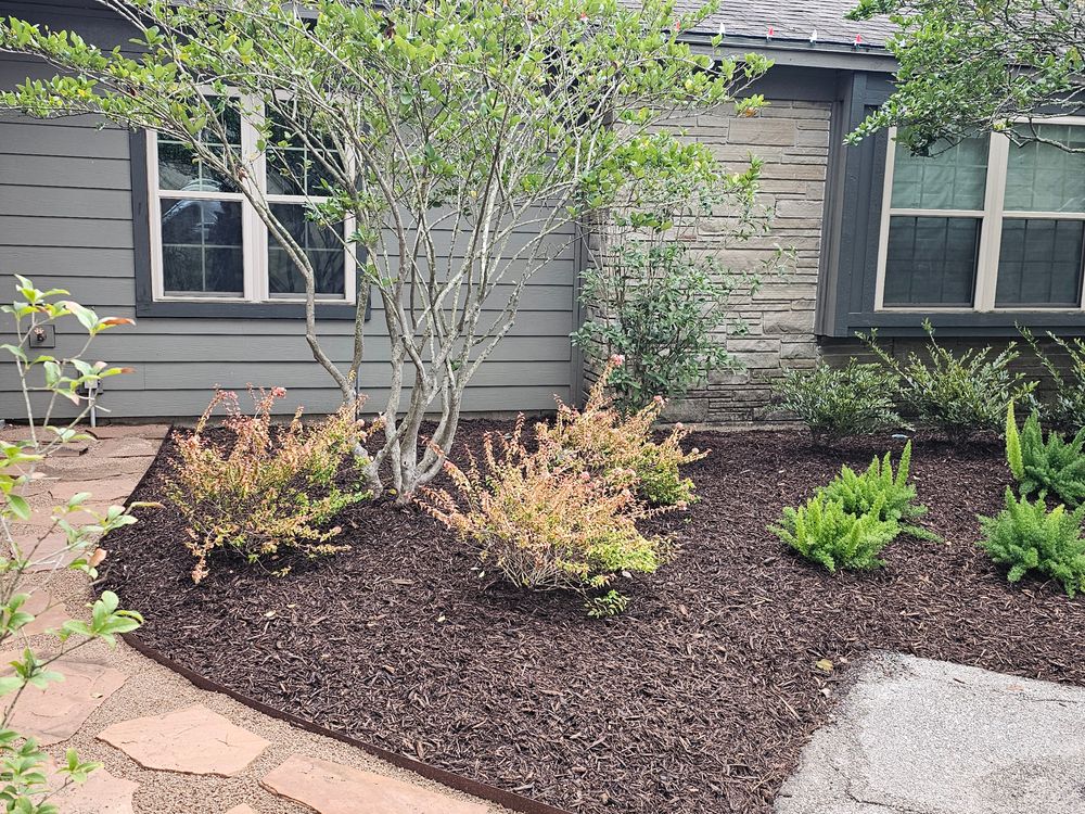 Landscaping for Bruno's Professional Lawn's & Landscape in Beaumont, TX