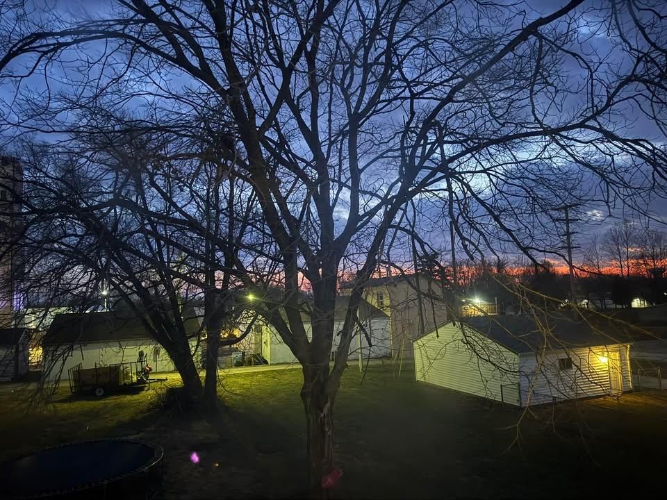 All Photos for Bearforce Lawn Care LLC in Greenfield, IN