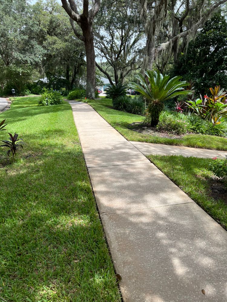 Roof Cleaning for Pressure Washing Warrior LLC in Ocoee, FL