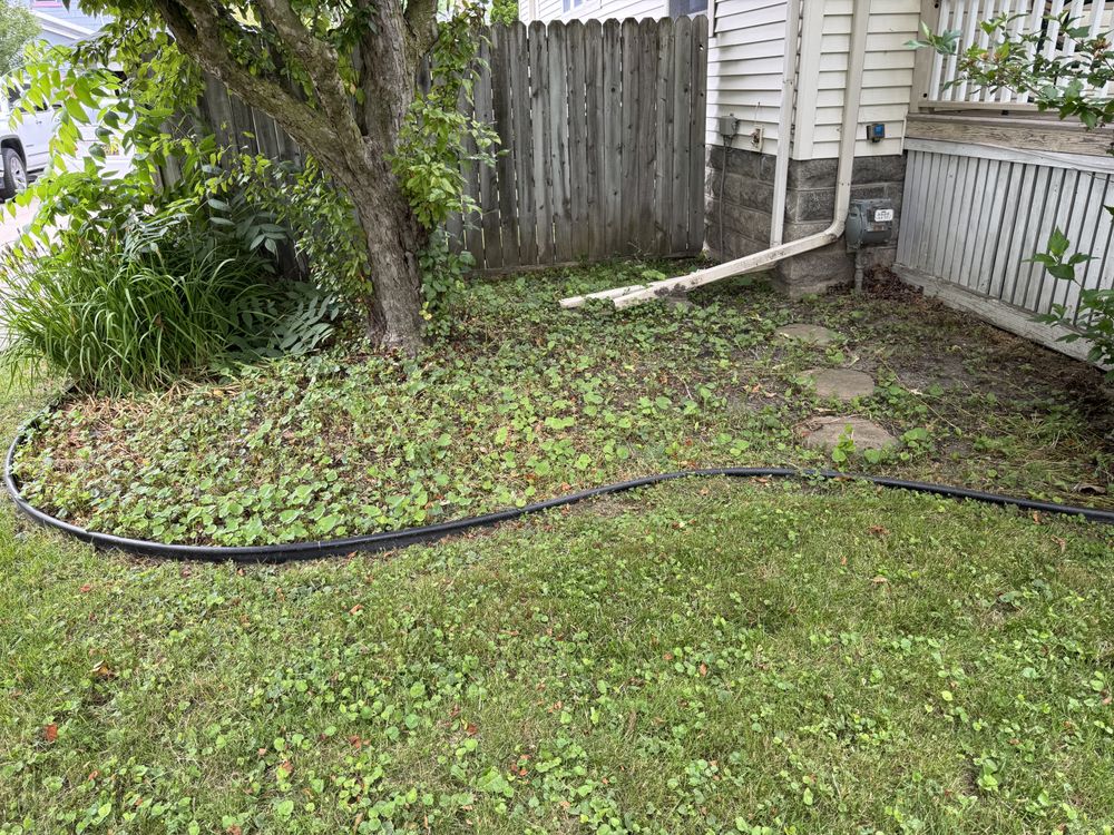 Landscaping Lawn Care for Daugherty's Tough Lawn Care in Essexville, MI