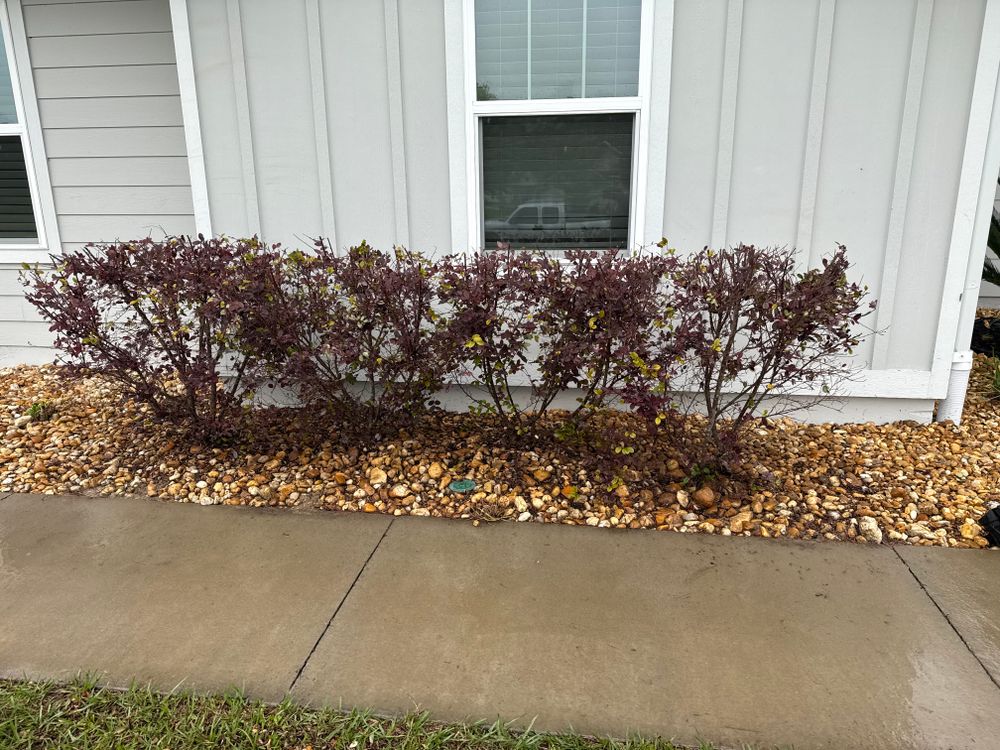 All Photos for Turf Titan in Lake City, FL