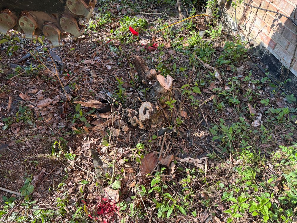 All Photos for Conrad's Stump Removal in Columbus, IN