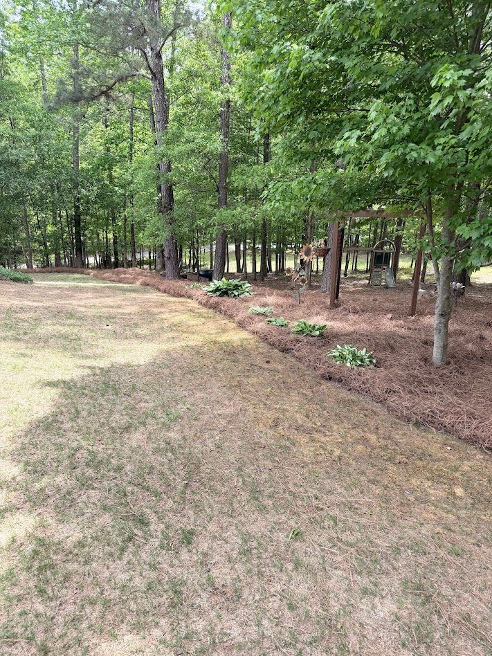 All Photos for Buddy’s Outdoor Solutions in Rome, GA