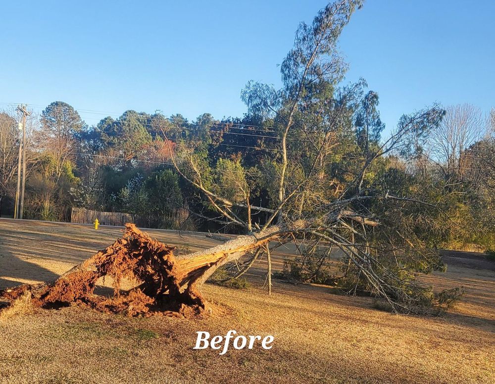 All Photos for Jason Scott Grading & Clearing in Williamson, GA