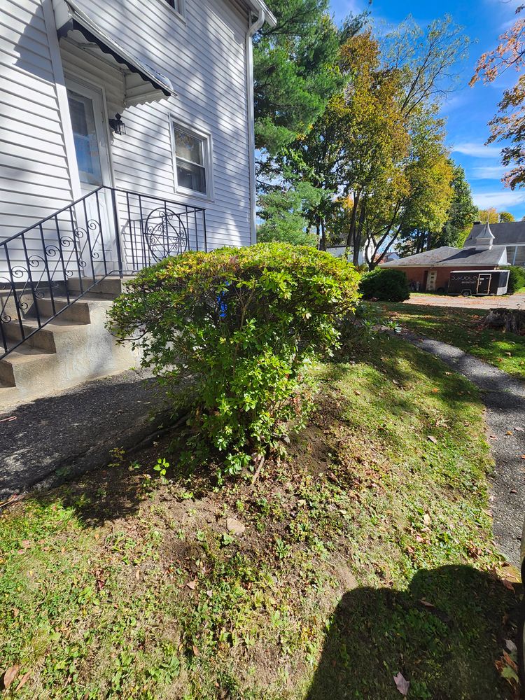 All Photos for Landscape Innovations LLC in Torrington, CT