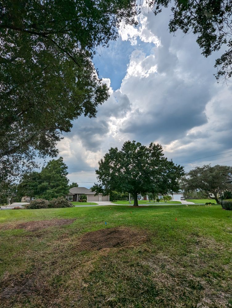 All Photos for Regal Tree Service and Stump Grinding in Wauchula, FL